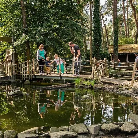 Campsite Nieuwe Vakantie-chalet 
